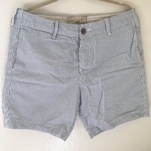 Hollister shorts man